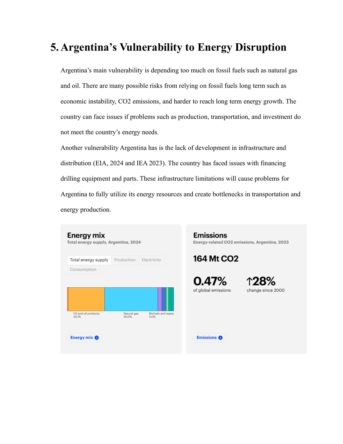 Argentina energy disruption vulnerability report page